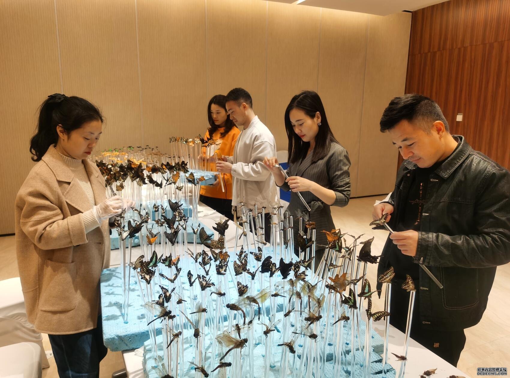 QQ截圖20211020102325.jpg QQ截圖20211020102325.jpg